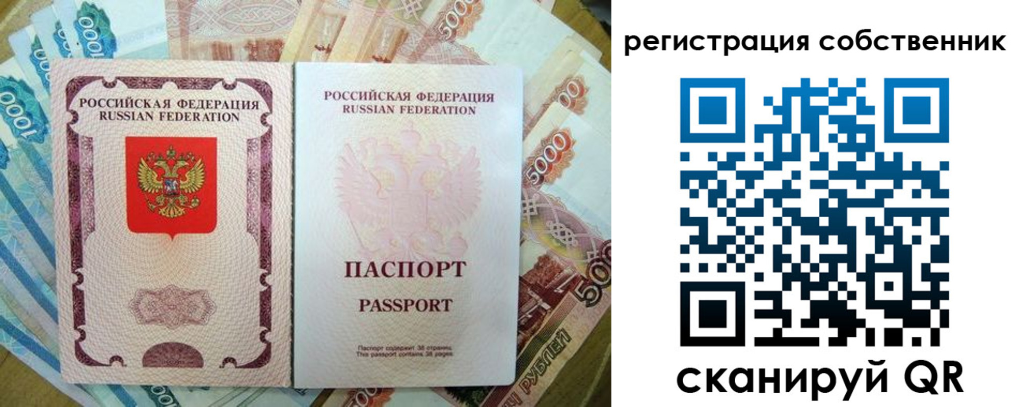 прописка гарантия в Ржеве
